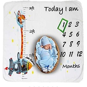 New baby monthly milestone blanket